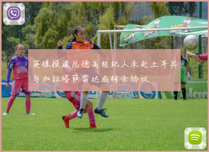 英媒报道厄德高经纪人未赴土耳其与加拉塔萨雷达成转会协议
